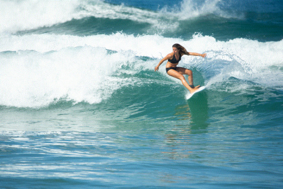 Surf