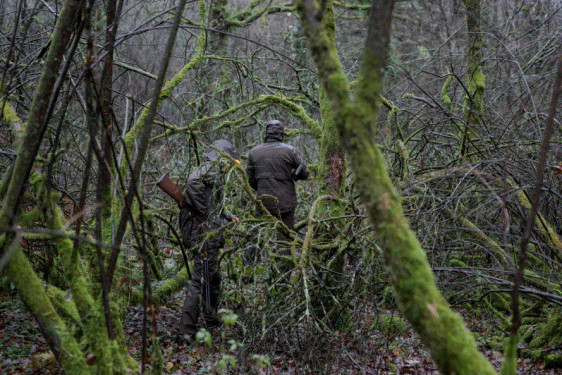 chasse