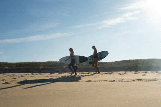 Surf